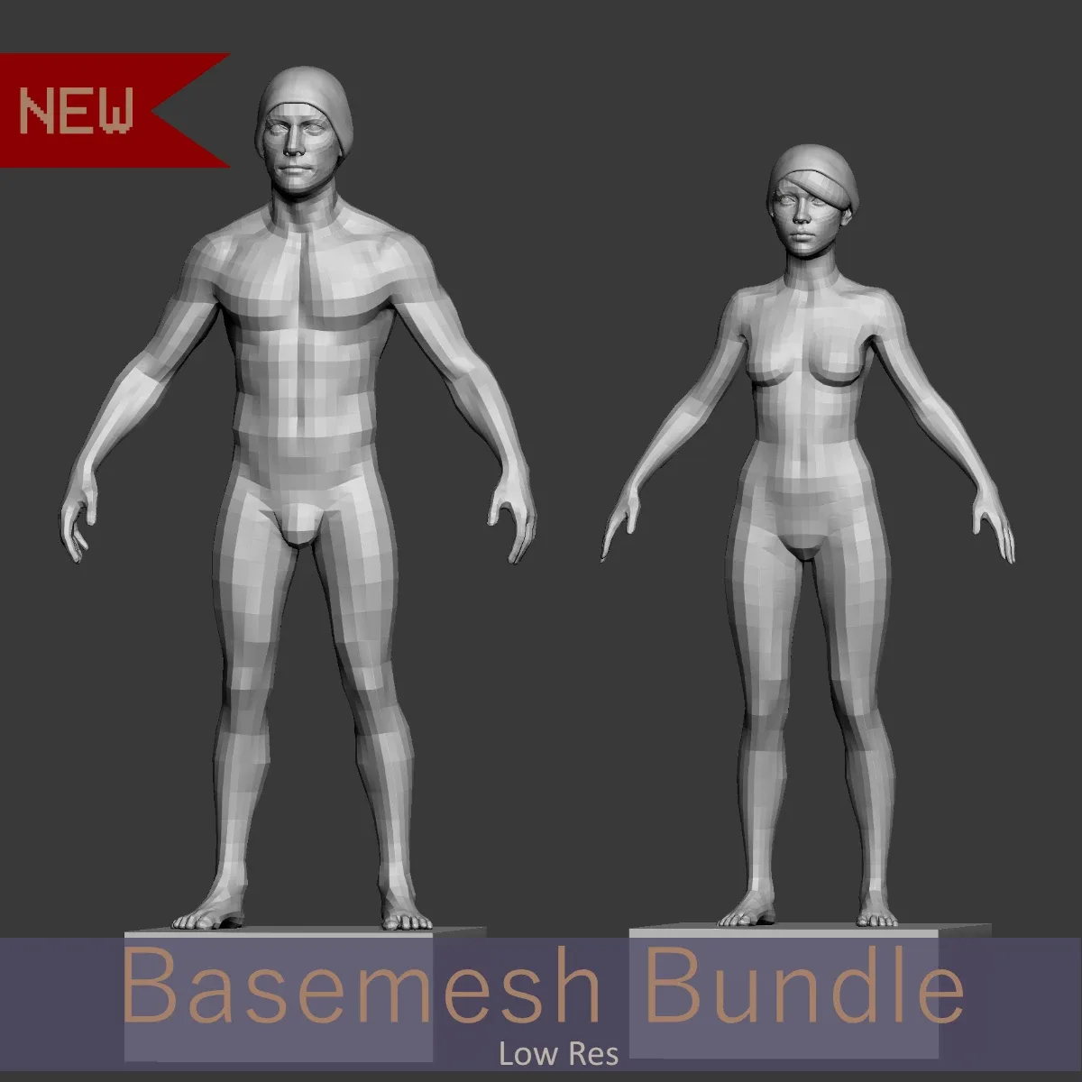 Basemesh Bundle - Low Res