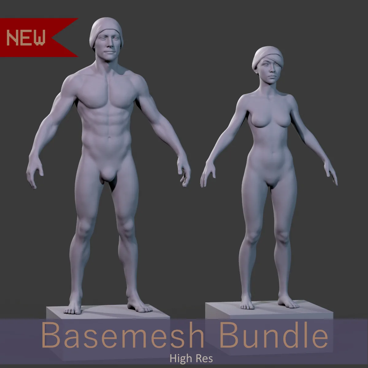 Basemesh Bundle - High Res