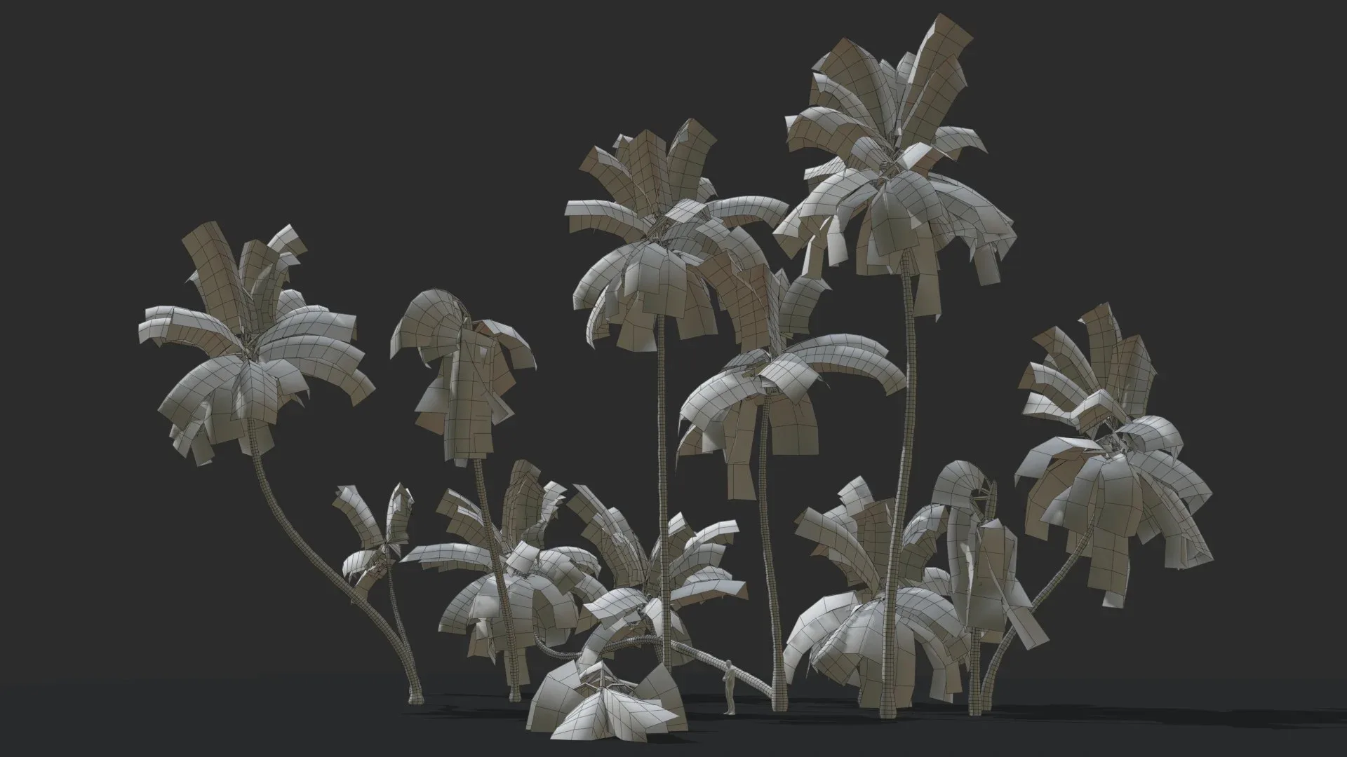 Coconut Palm Trees Asset 1