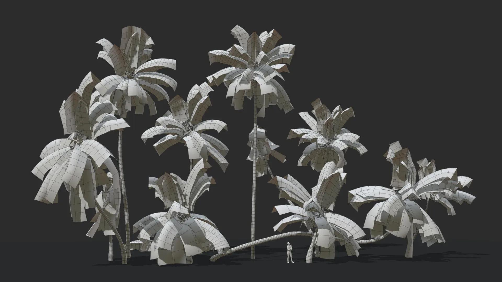 Coconut Palm Trees Asset 1