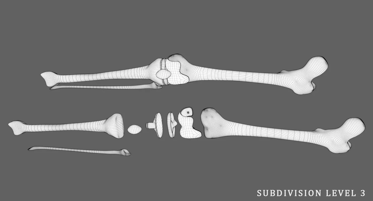 Knee Endoprosthesis