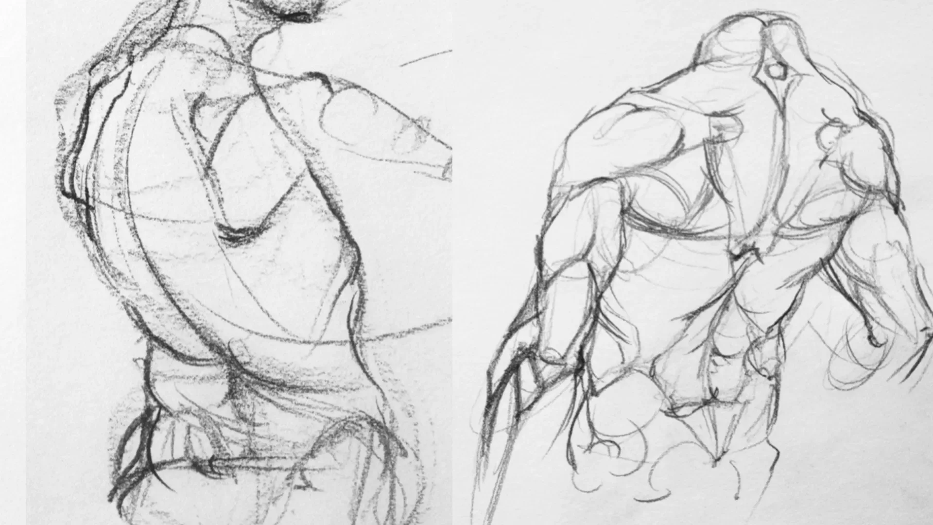 Artistic Anatomy Introduction