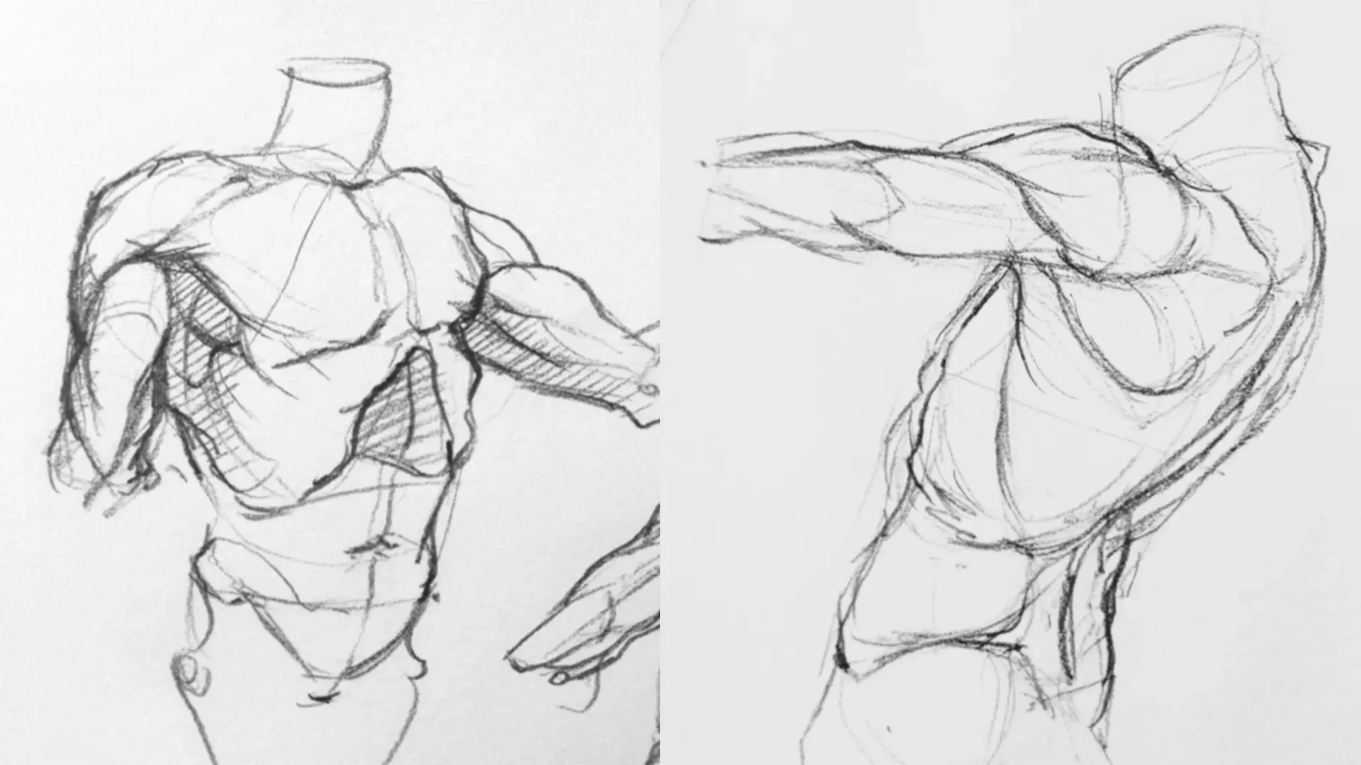 Artistic Anatomy Introduction - FlippedNormals