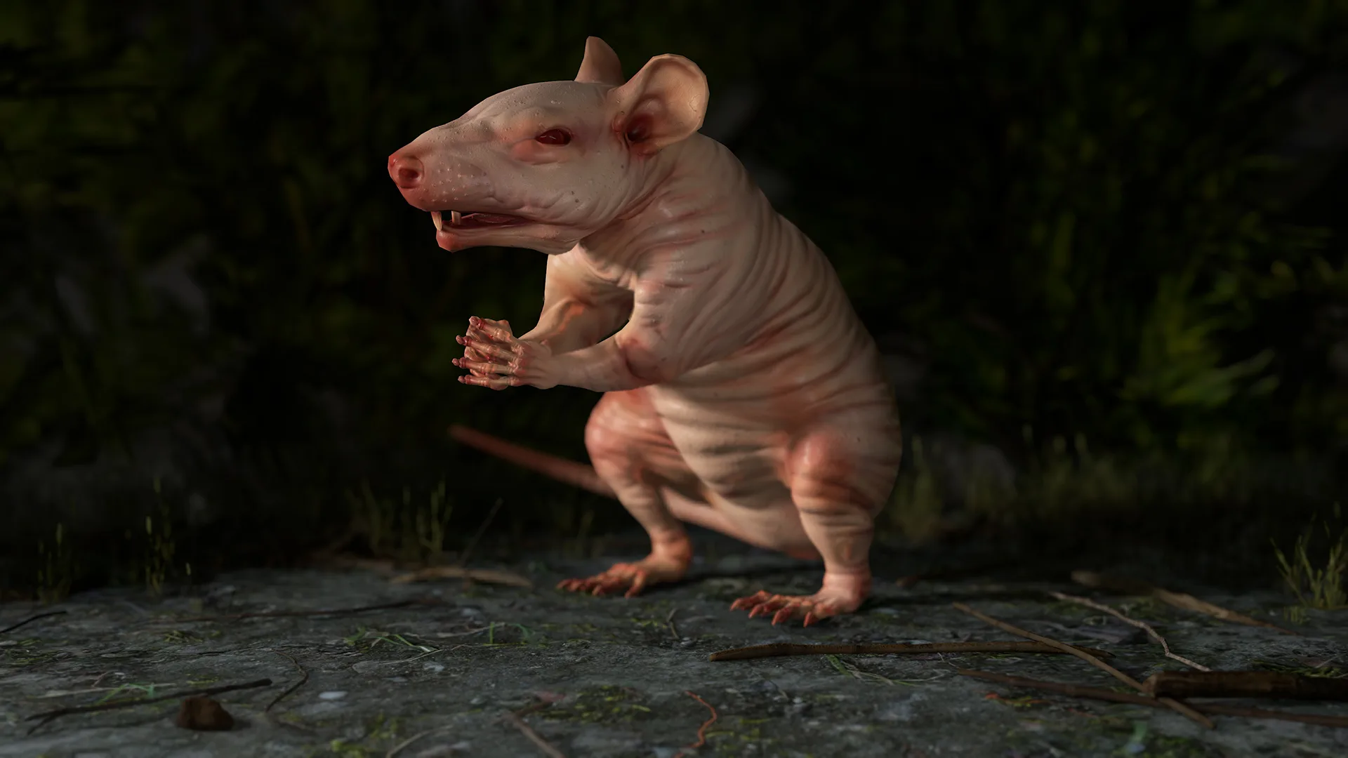 Naked Rat