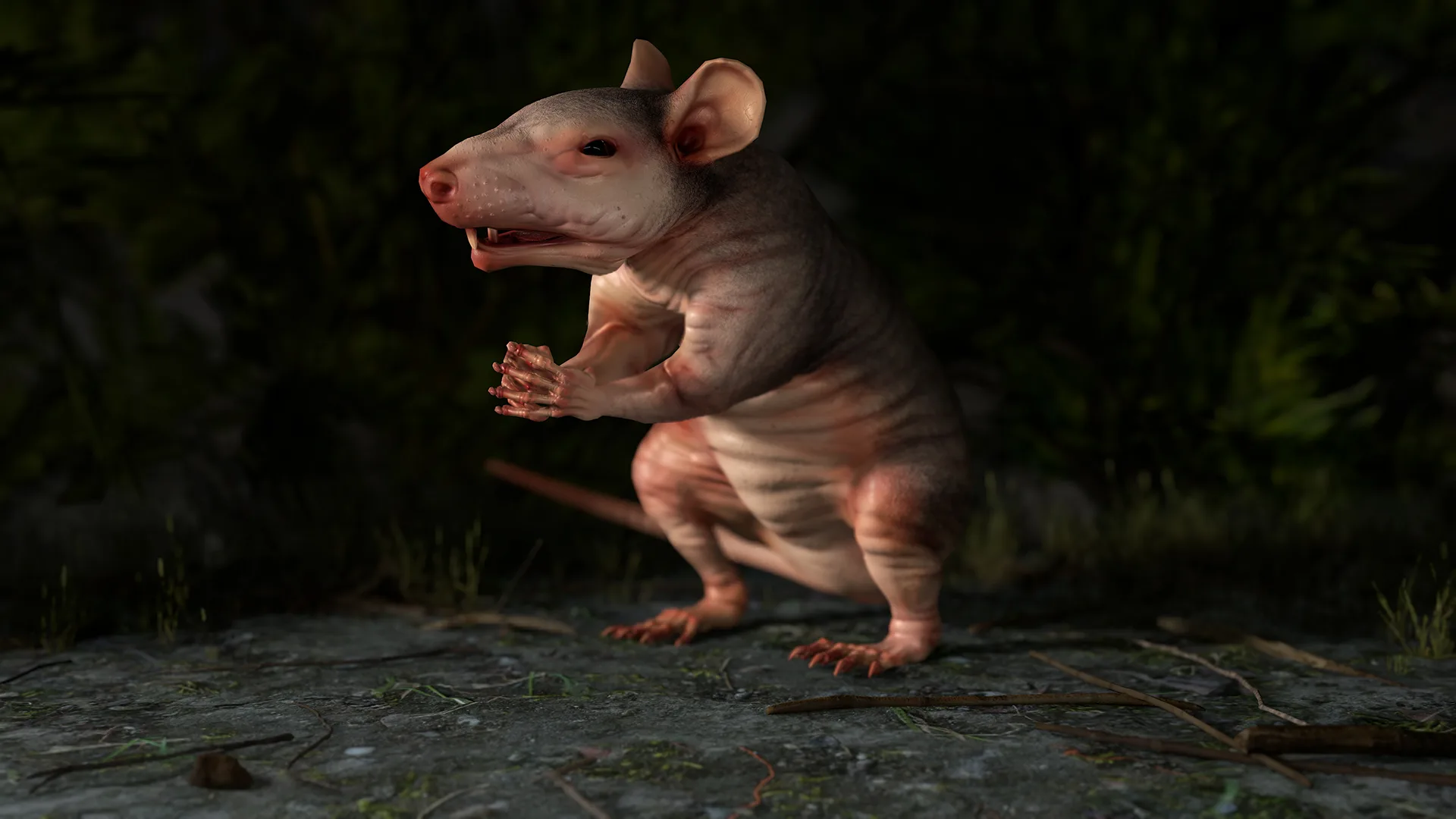 Naked Rat