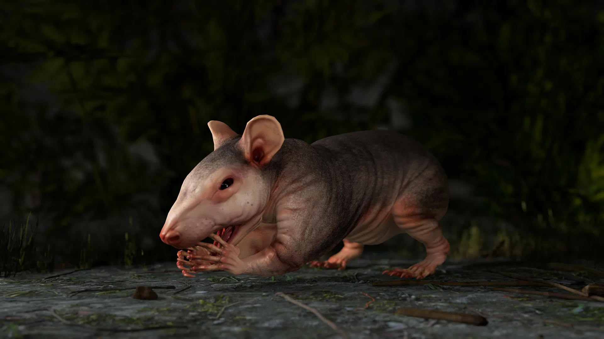 Naked Rat