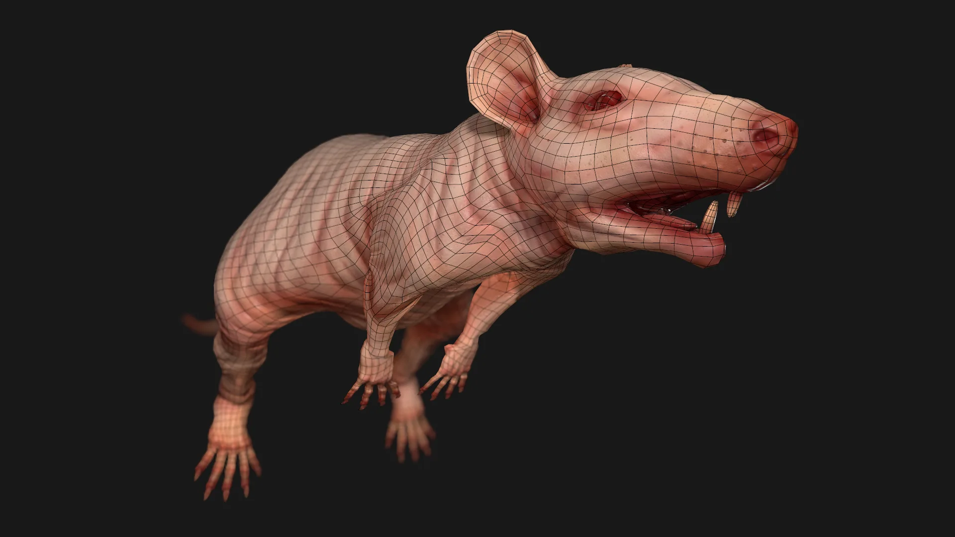 Naked Rat