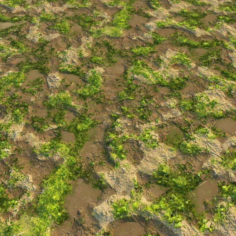 Ground Textures