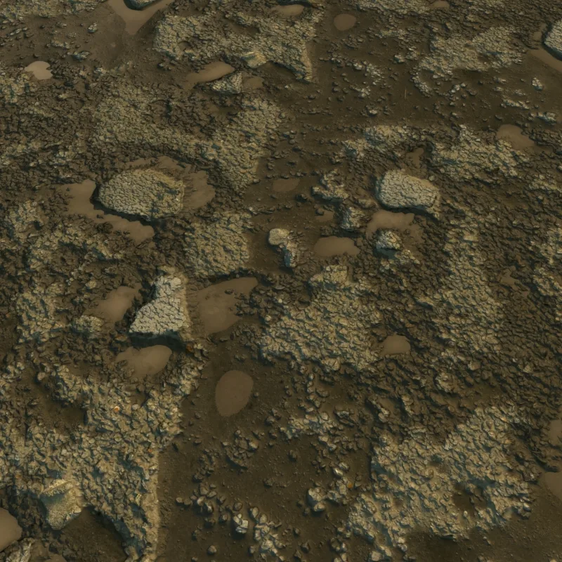 Ground Textures