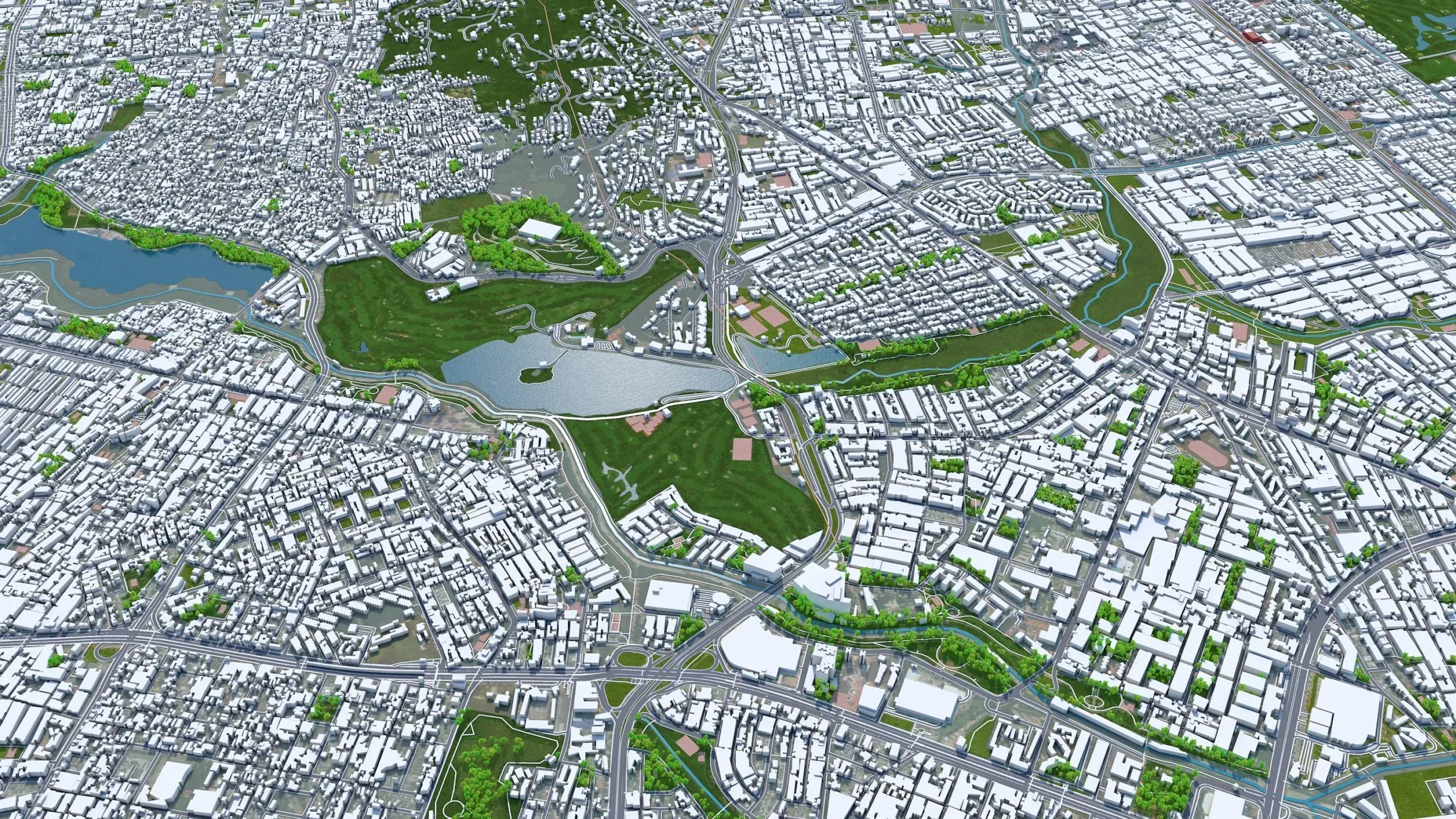 Bogota City Columbia 3D Model 50 Km
