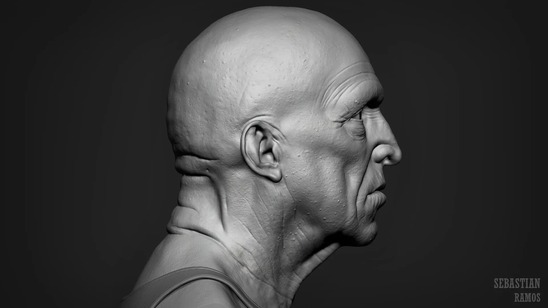 Male Head - Old Man