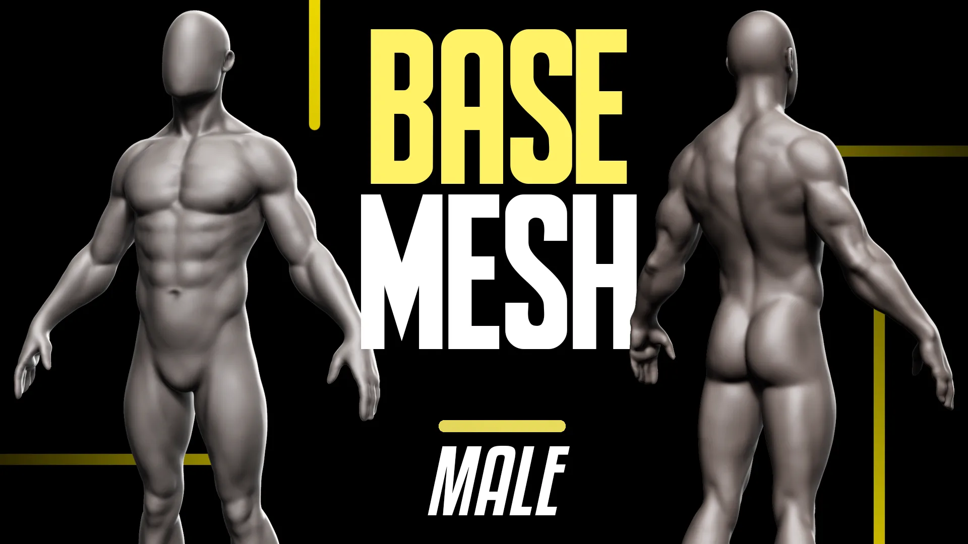 Basemesh Male