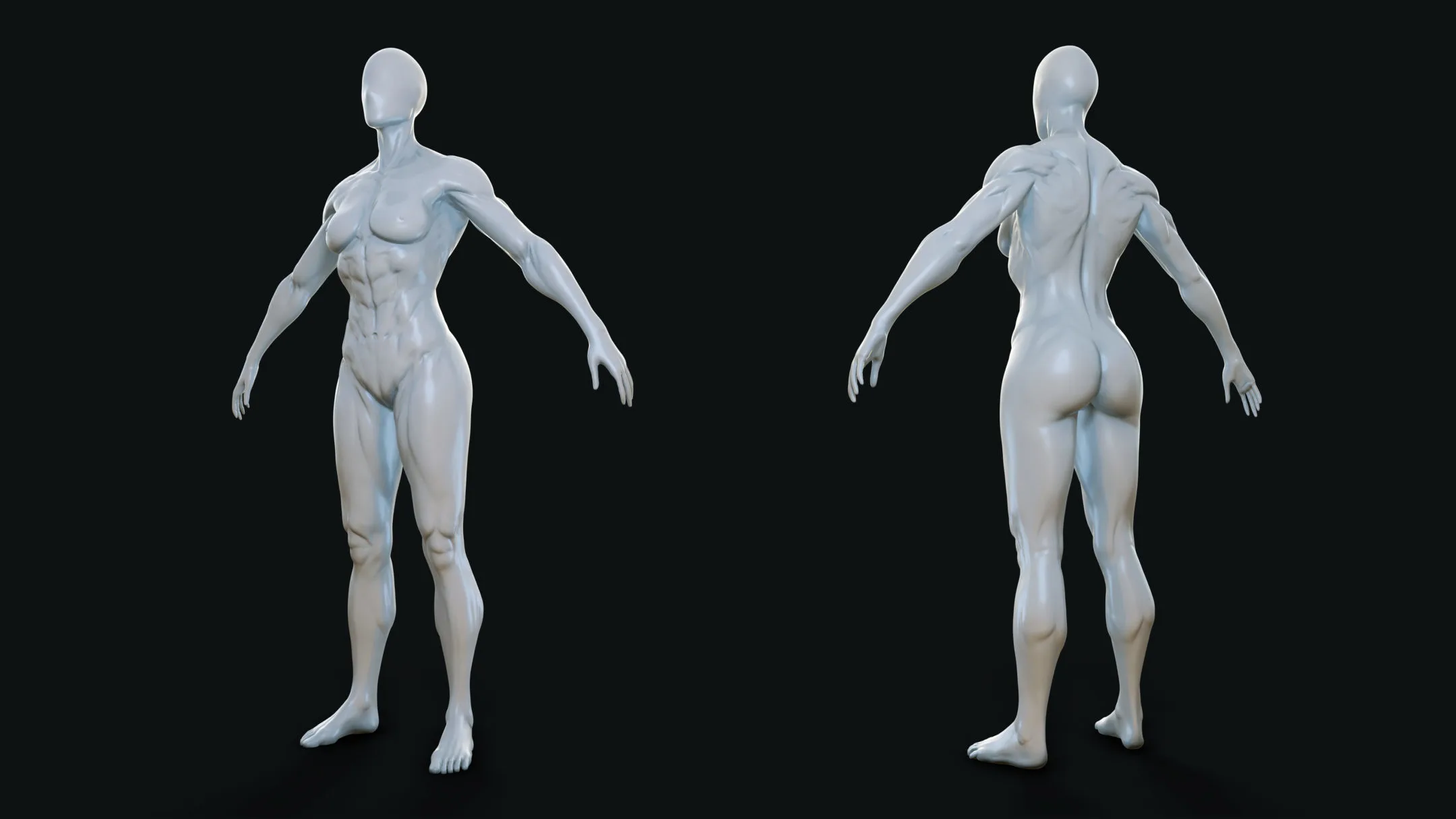 Muscular Woman - Base Mesh