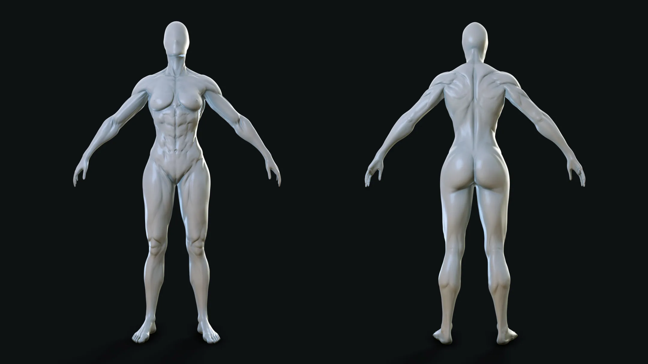 Muscular Woman - Base Mesh