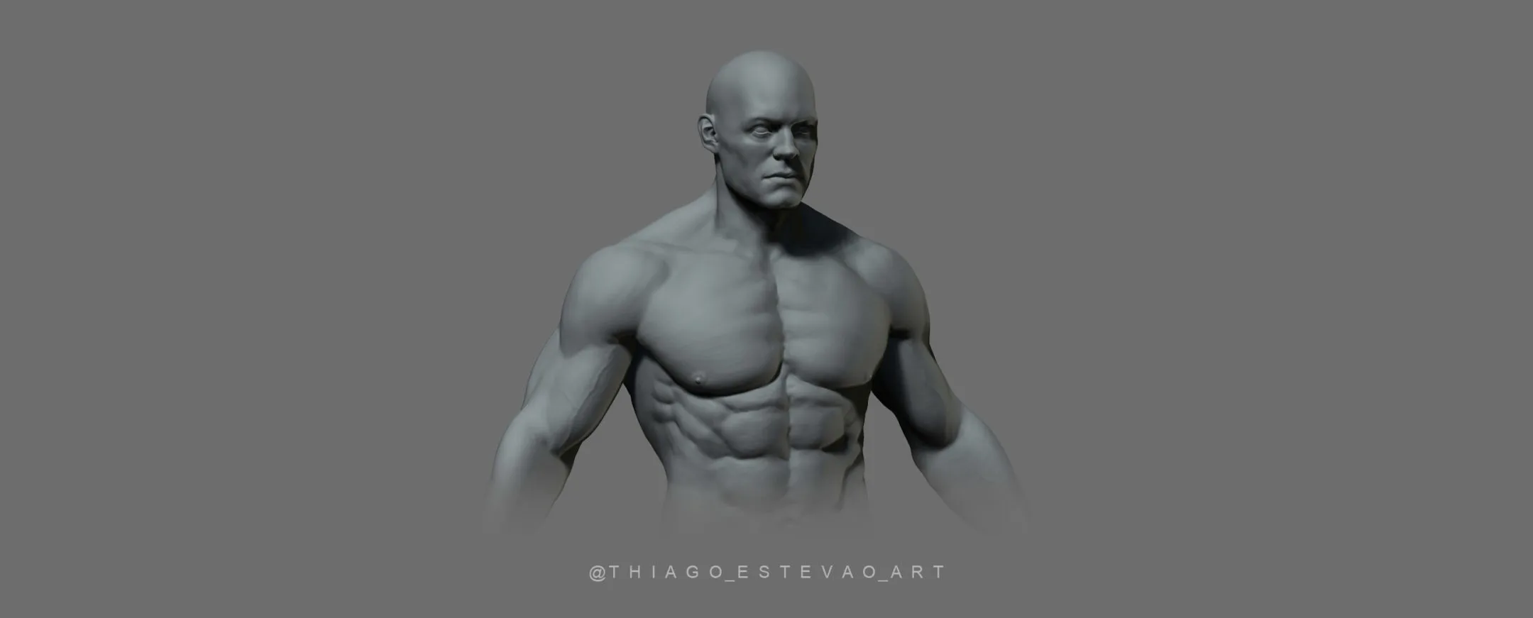 Male Anatomy Model