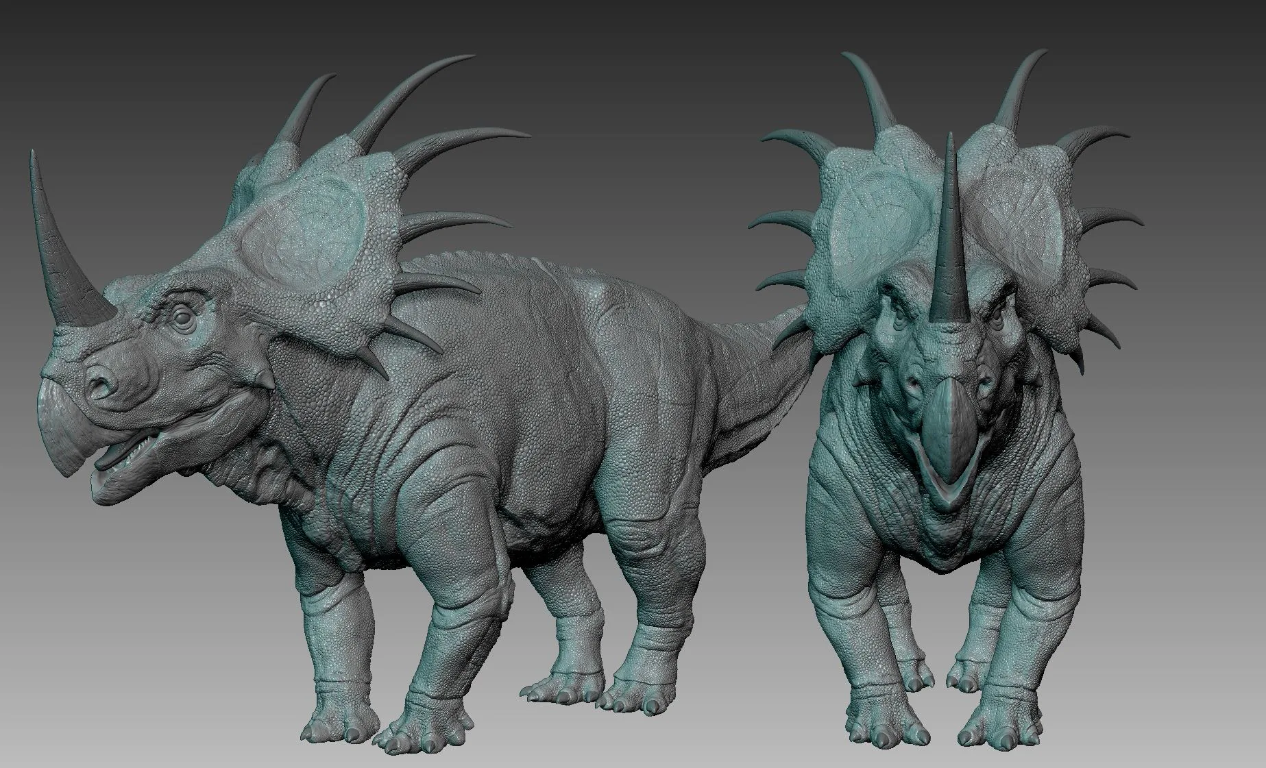 Styracosaurus Model