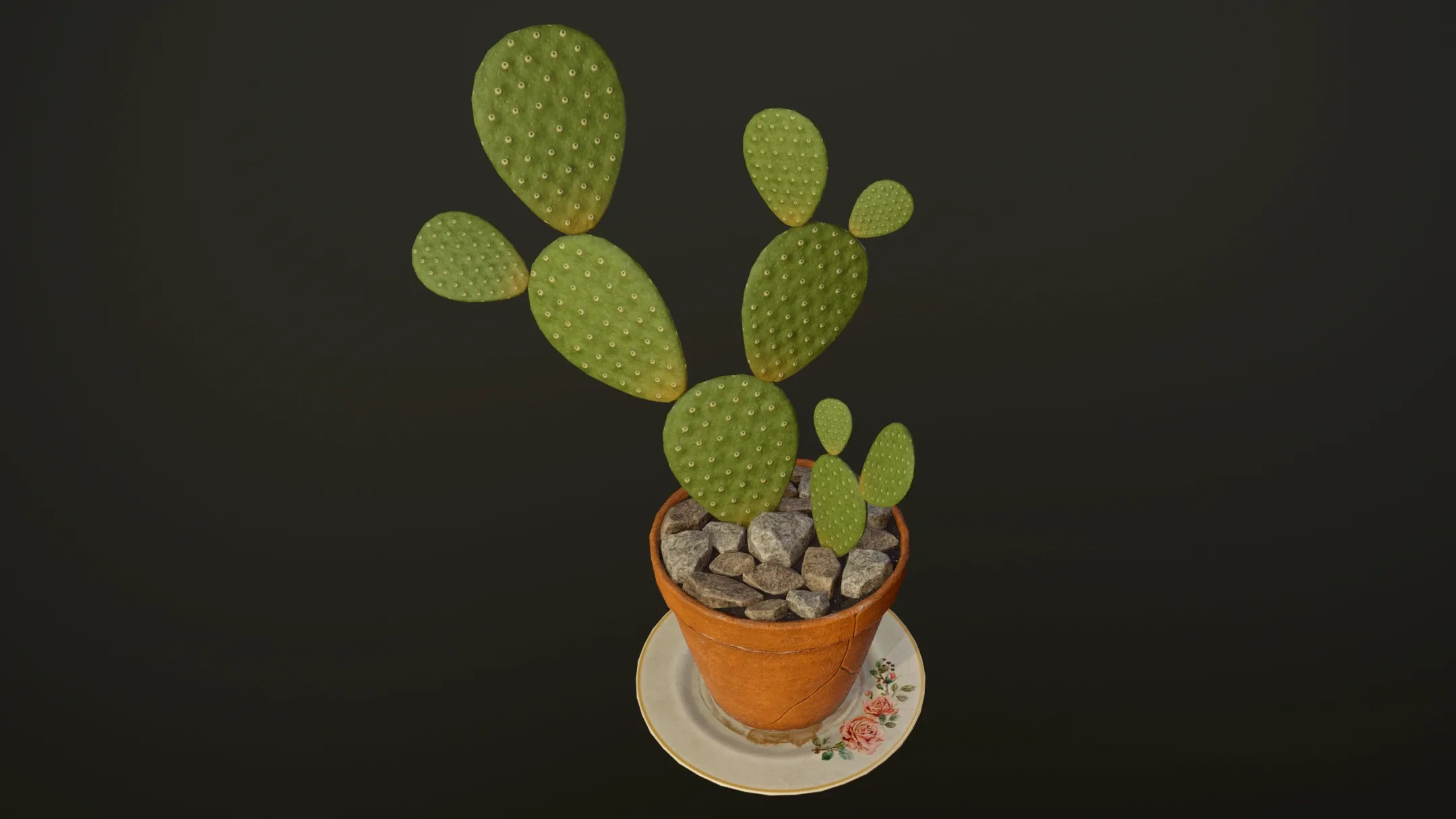 Cactus - PBR Game Ready