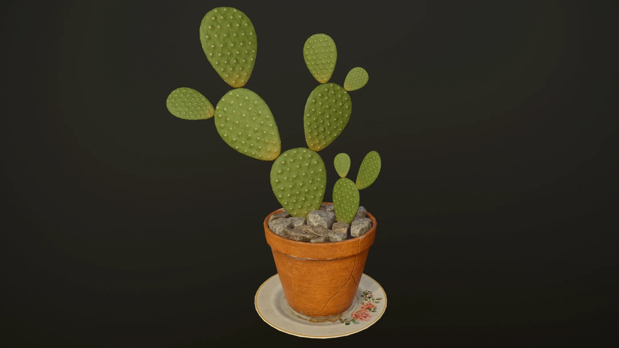 Cactus - PBR Game Ready