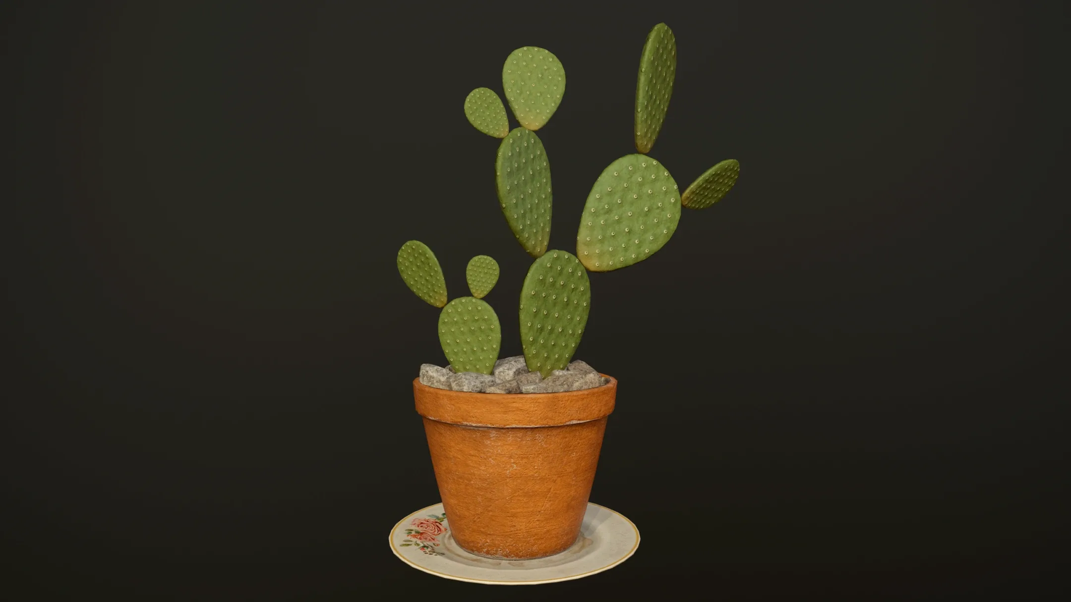 Cactus - PBR Game Ready