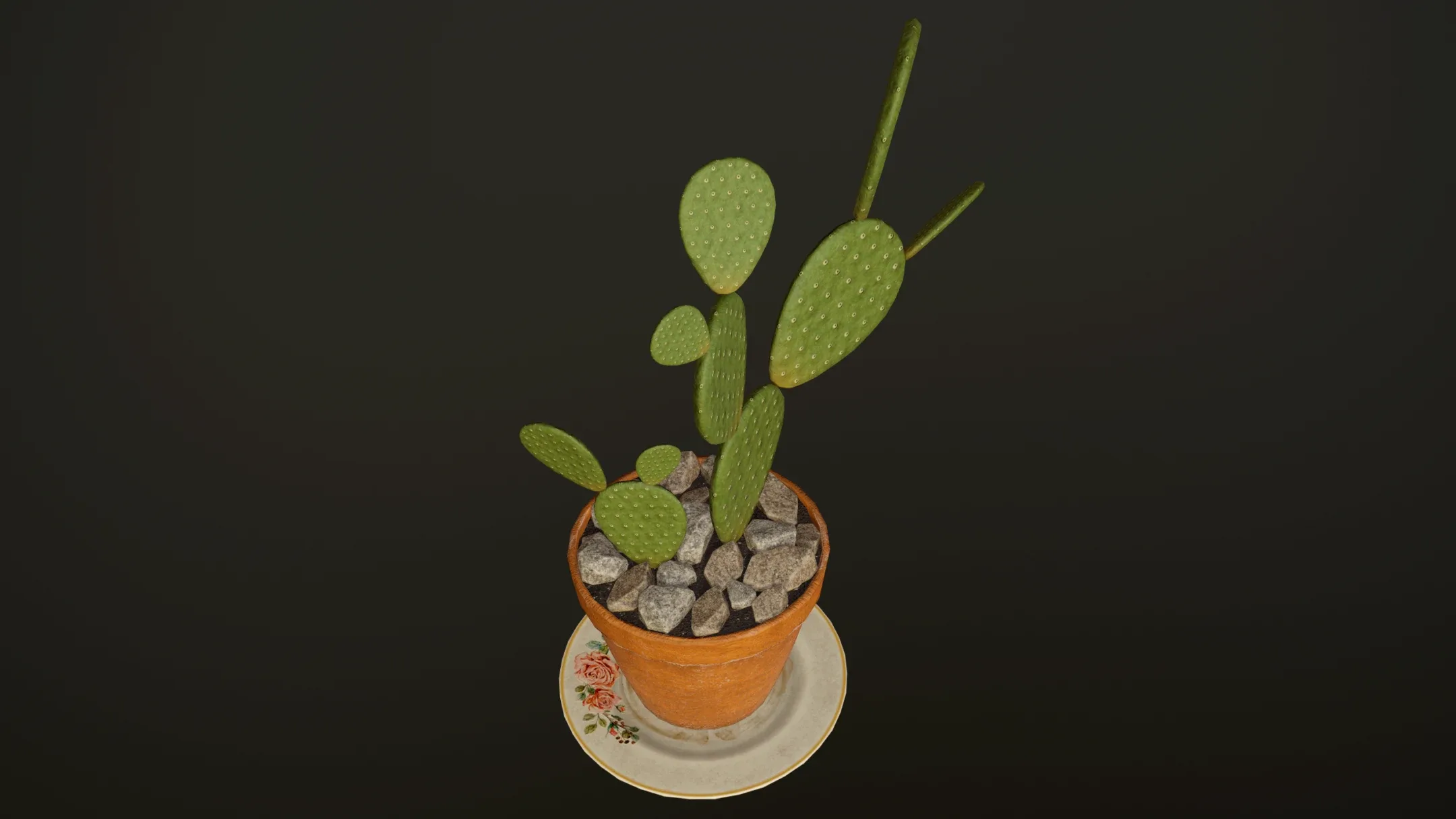 Cactus - PBR Game Ready