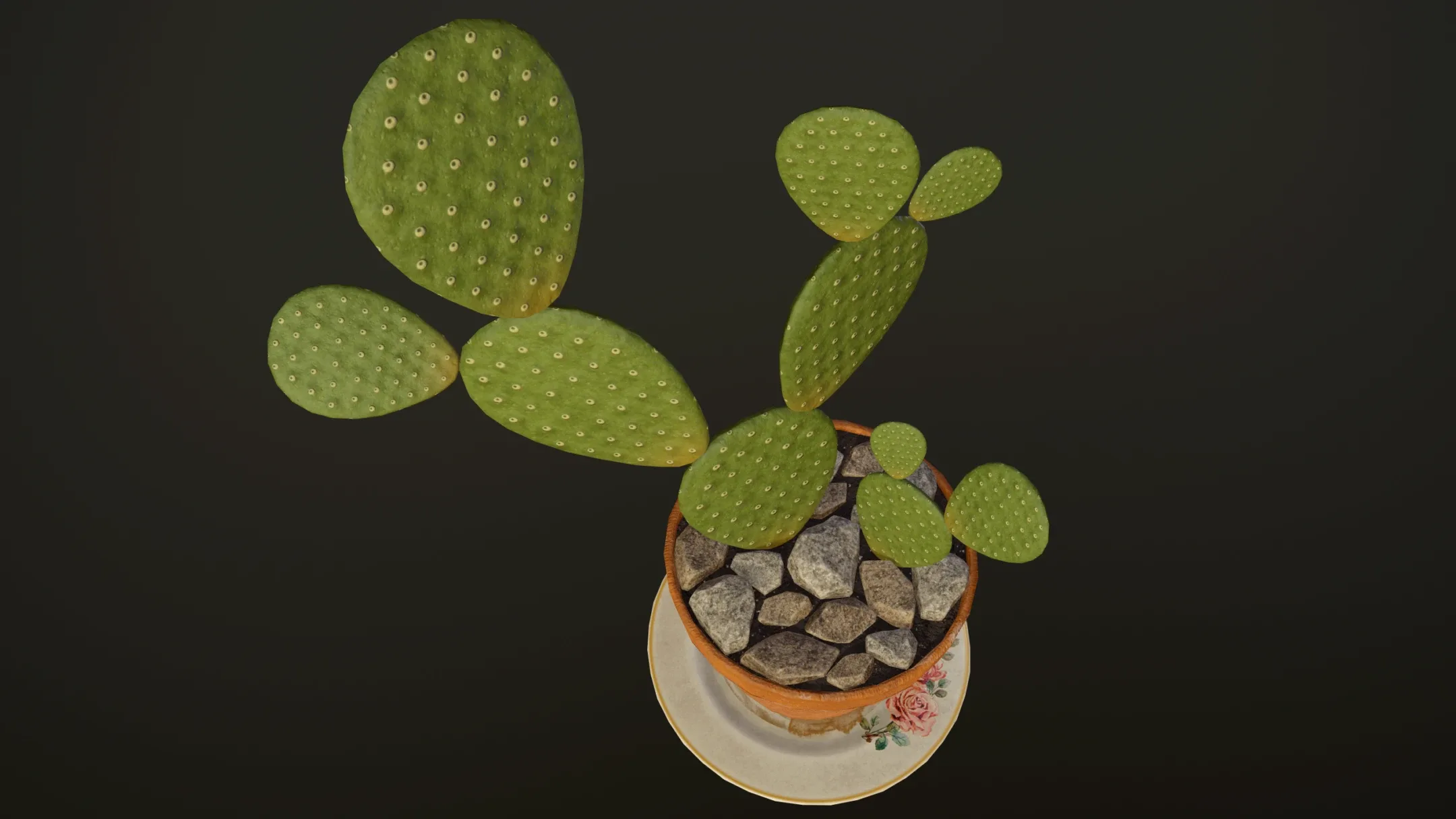 Cactus - PBR Game Ready