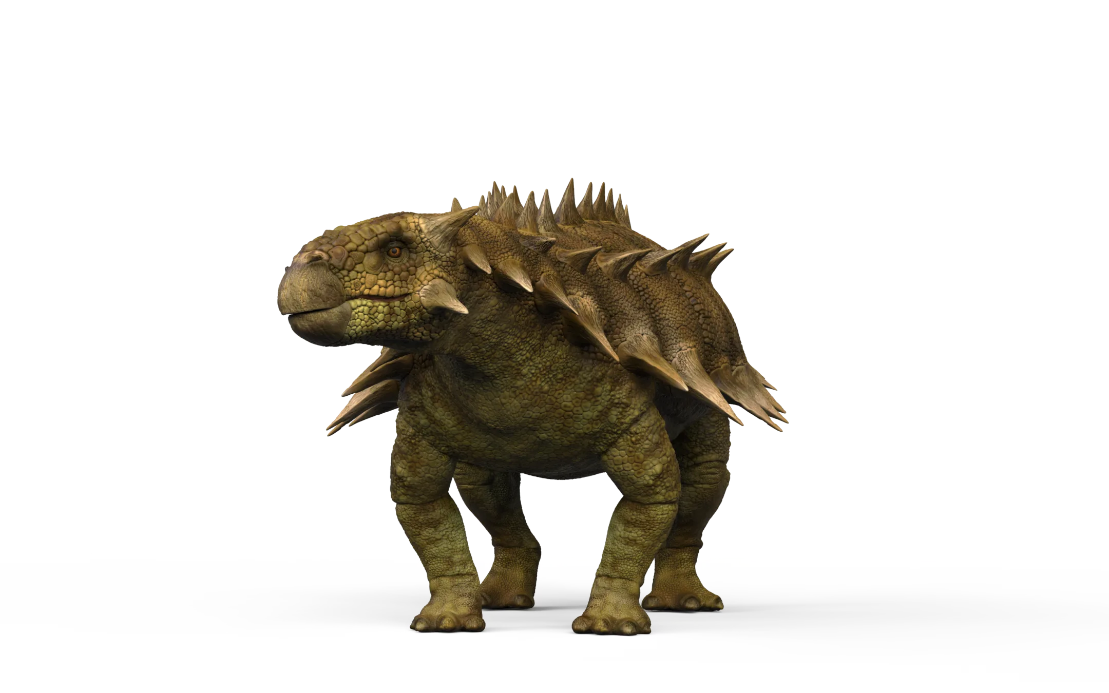 Ankylosaurus Ztool