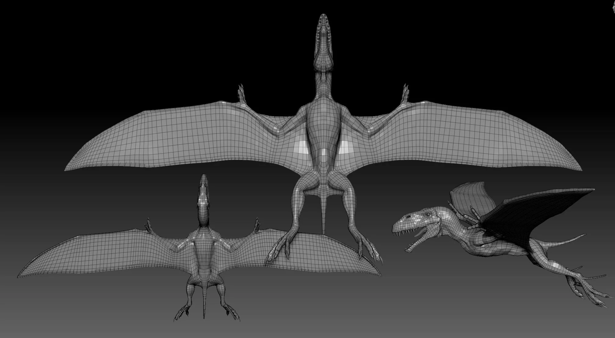 Dimorphodon ZBrush Tool