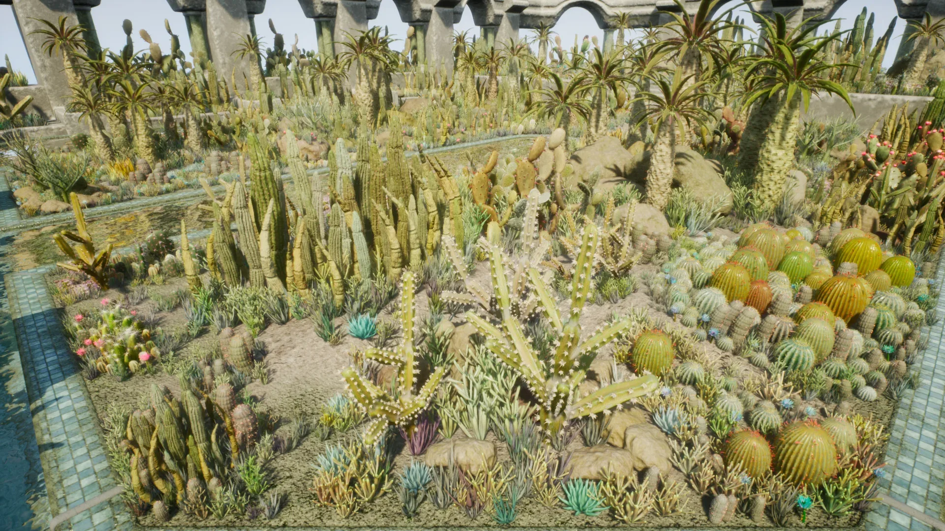 Cactus Plants: Desert Garden