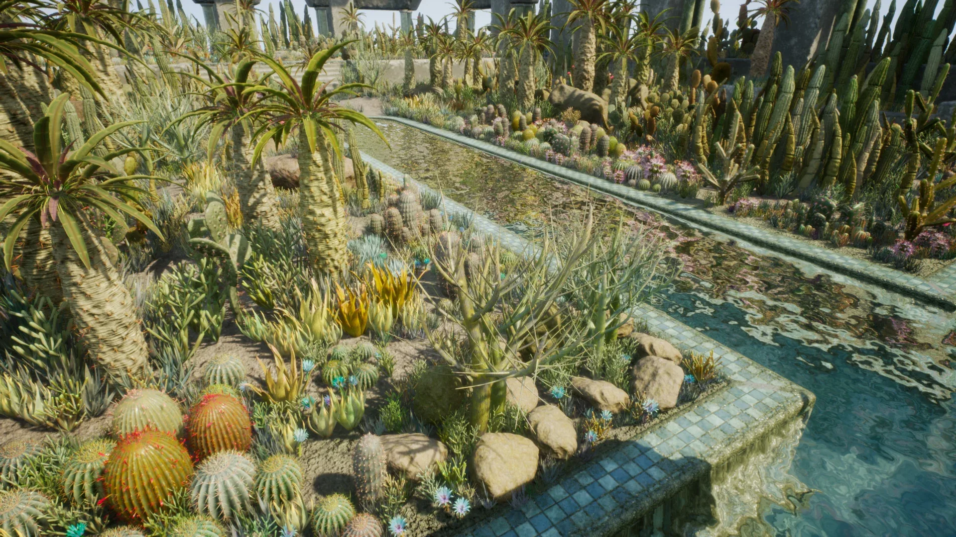 Cactus Plants: Desert Garden