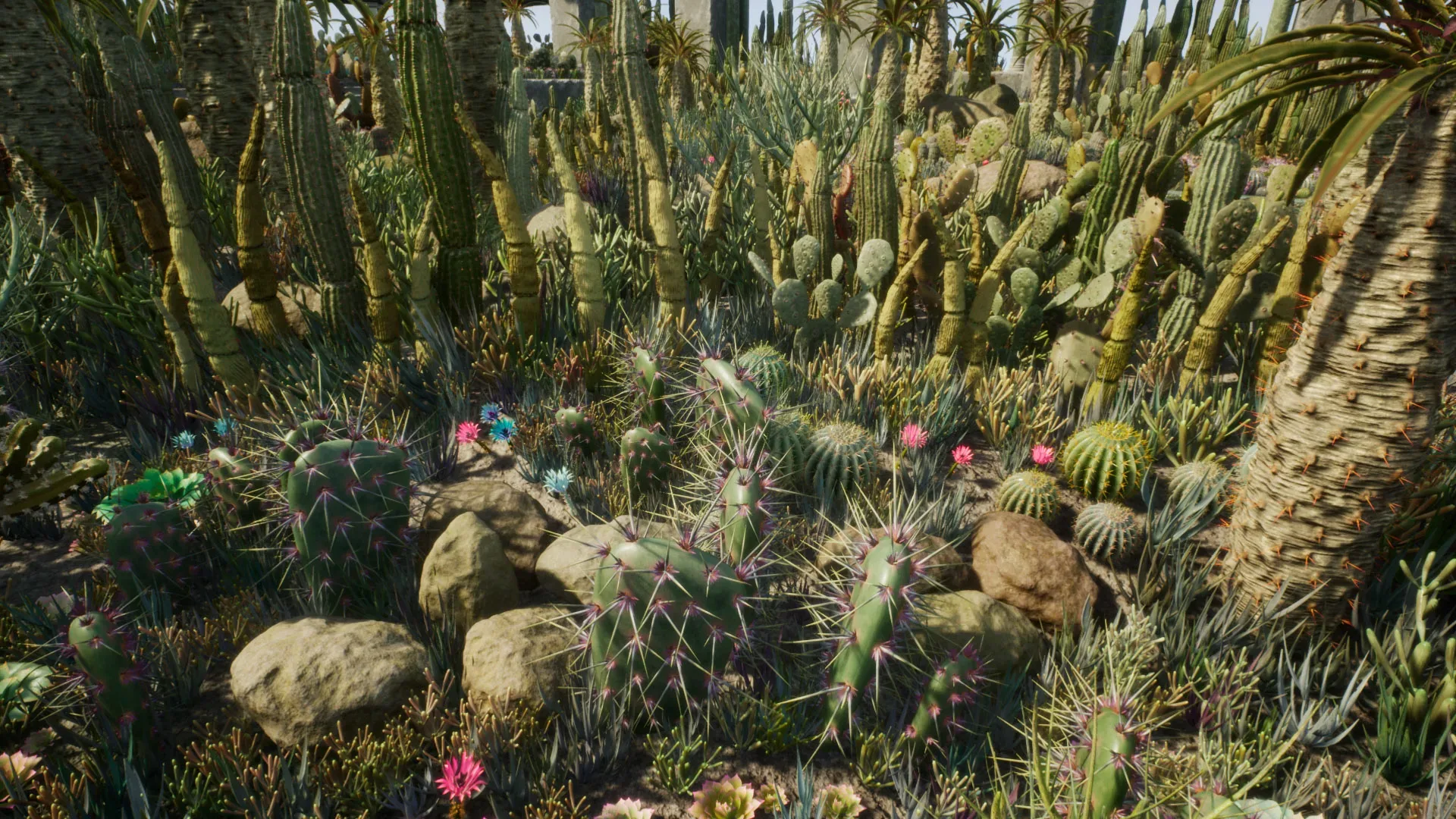 Cactus Plants: Desert Garden