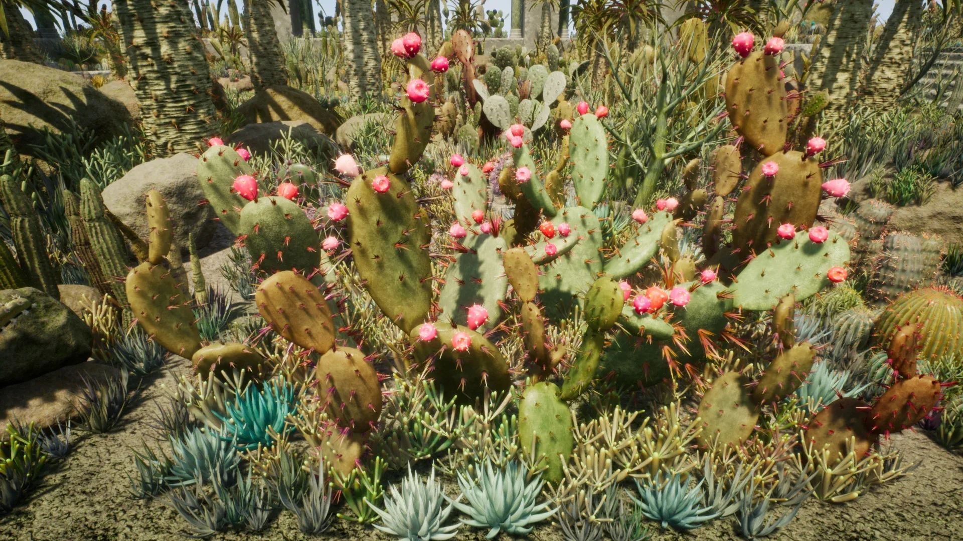 Cactus Plants: Desert Garden