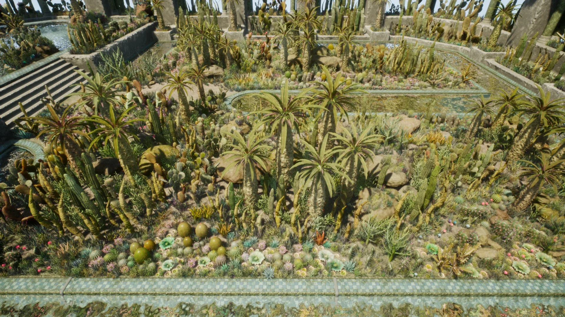 Cactus Plants: Desert Garden