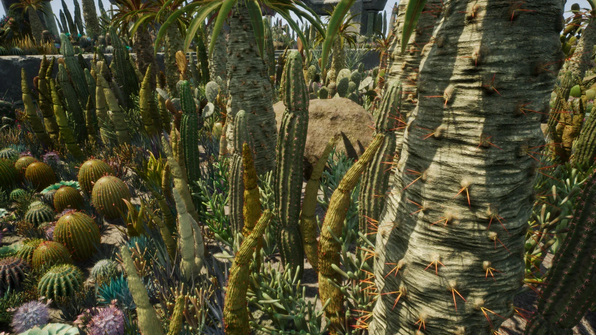 Cactus Plants: Desert Garden