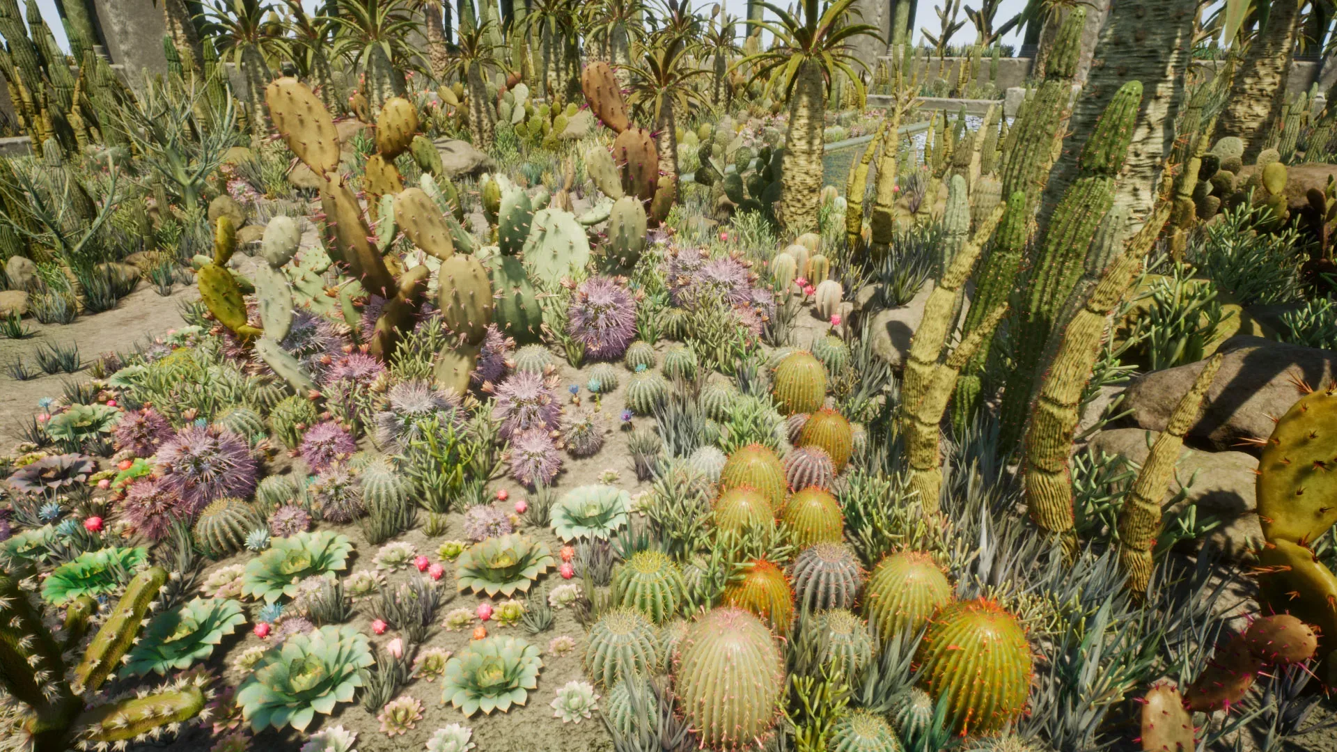 Cactus Plants: Desert Garden