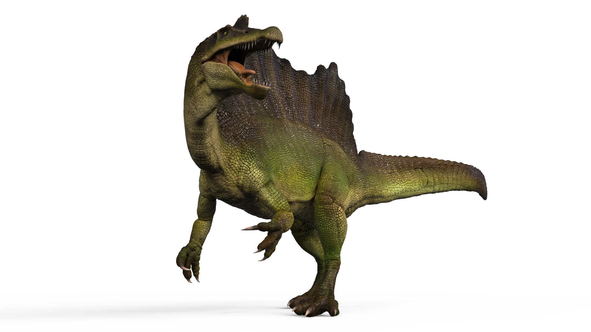 Spinosaurus Zbrush Model