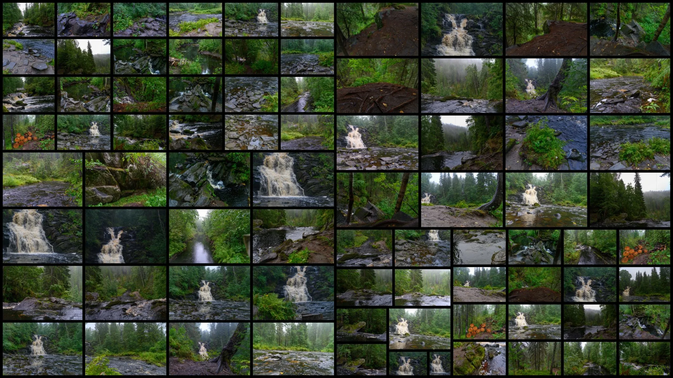 Northern Nature Plants Lake And Waterfall Reference Pictures