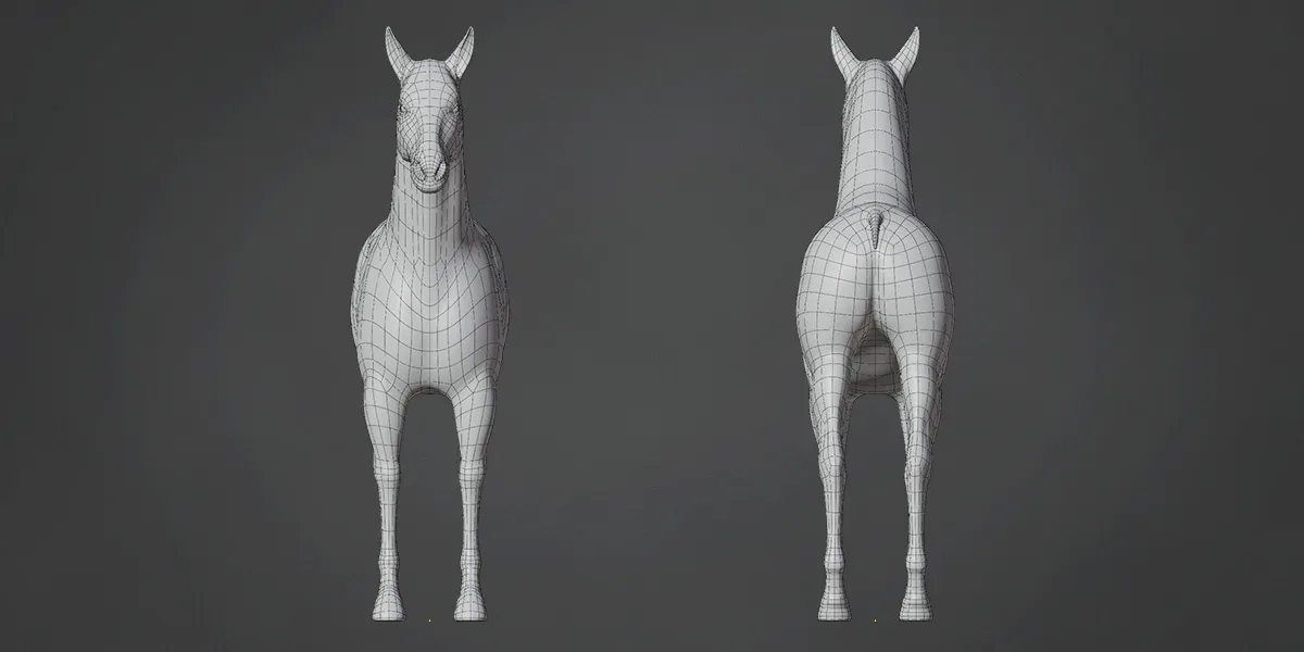 Base Meshes Animal Starter Kit 1 + Rig