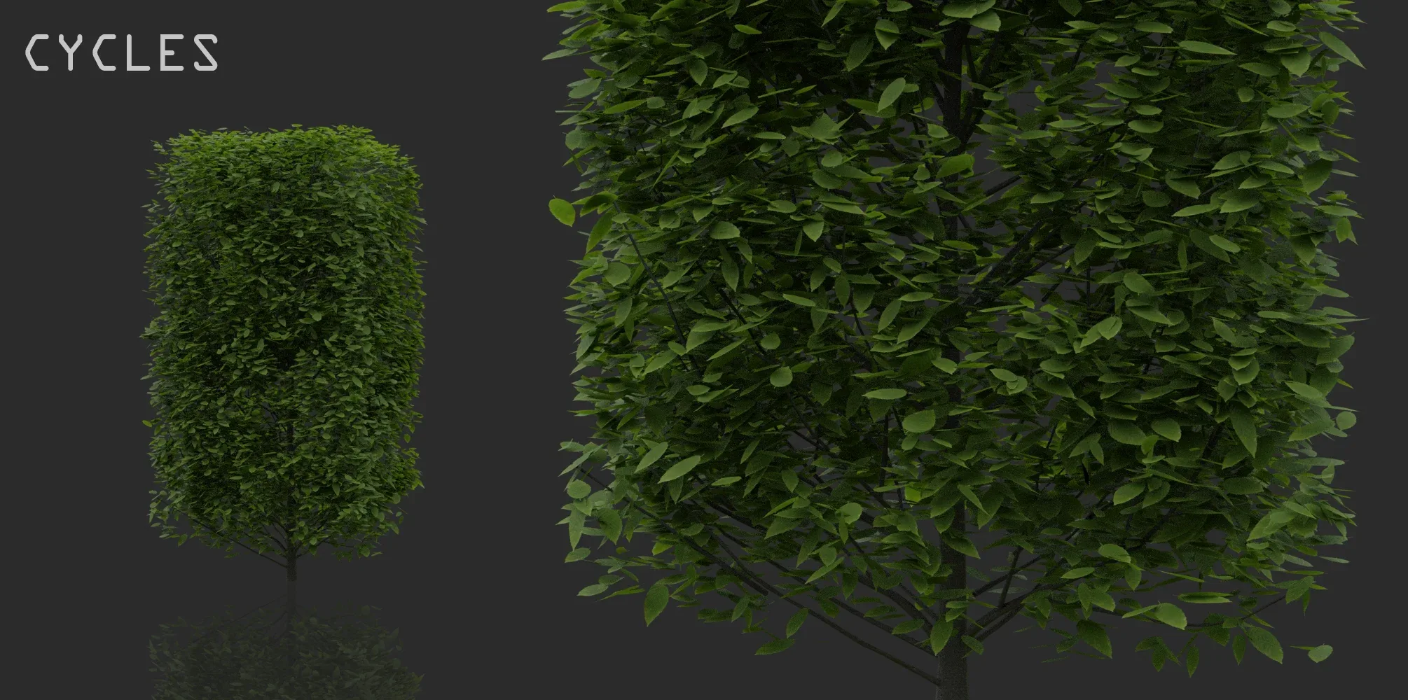 Hedges & Shrubs Pack