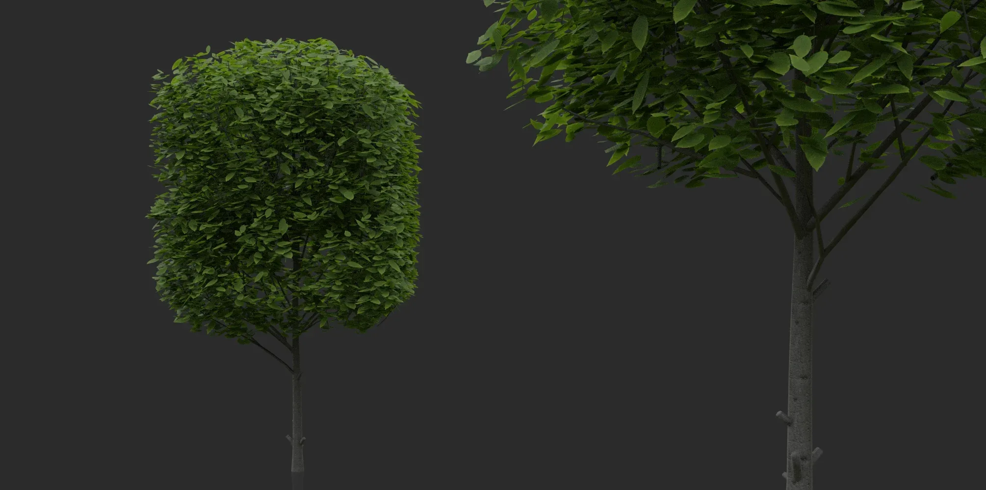 Hedges & Shrubs Pack