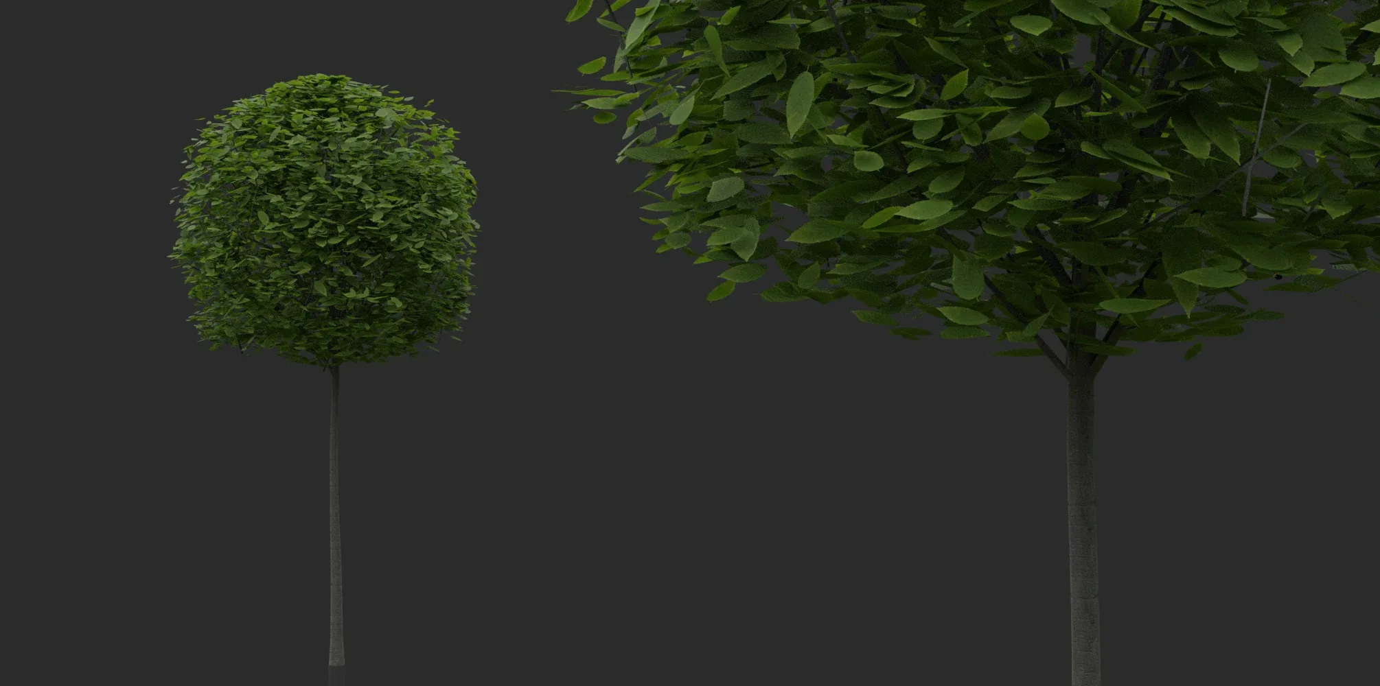 Hedges & Shrubs Pack