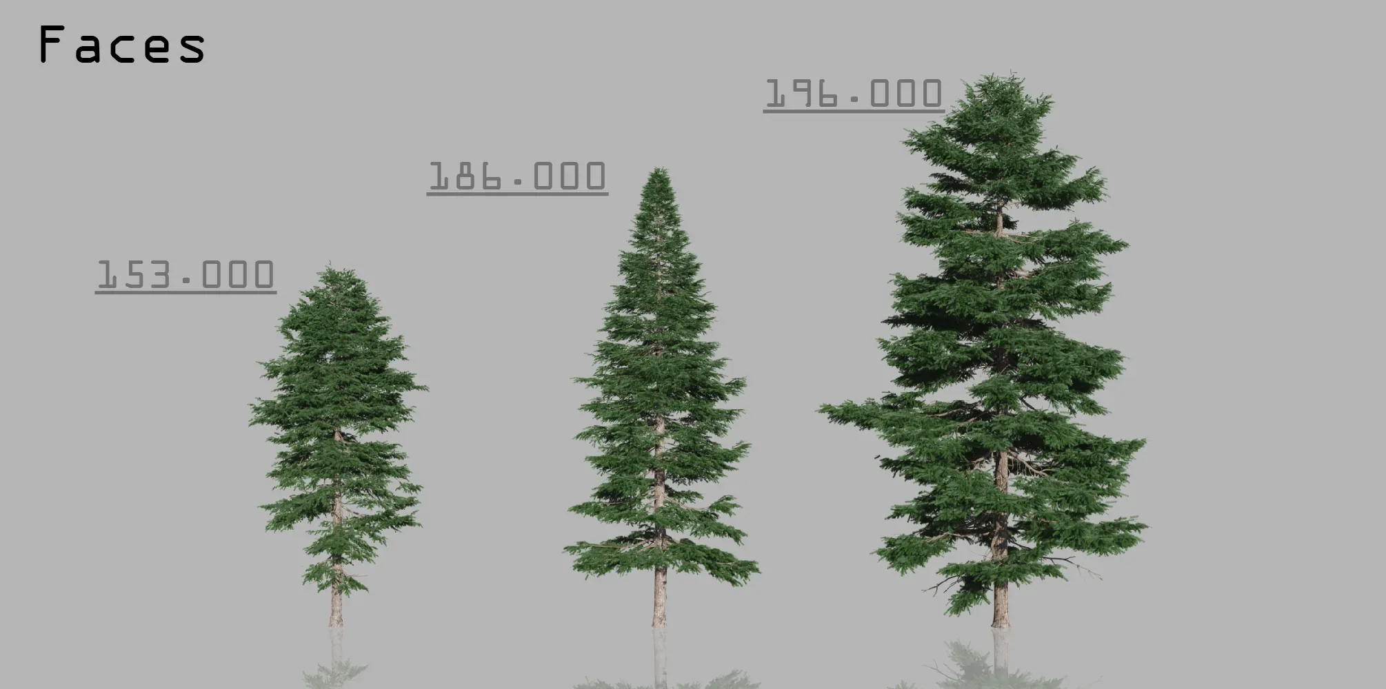 Conifers Trees Pack