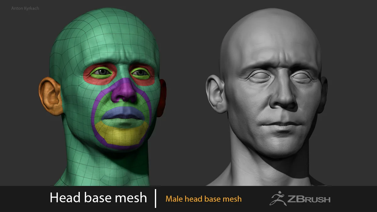 Male Head Basemesh