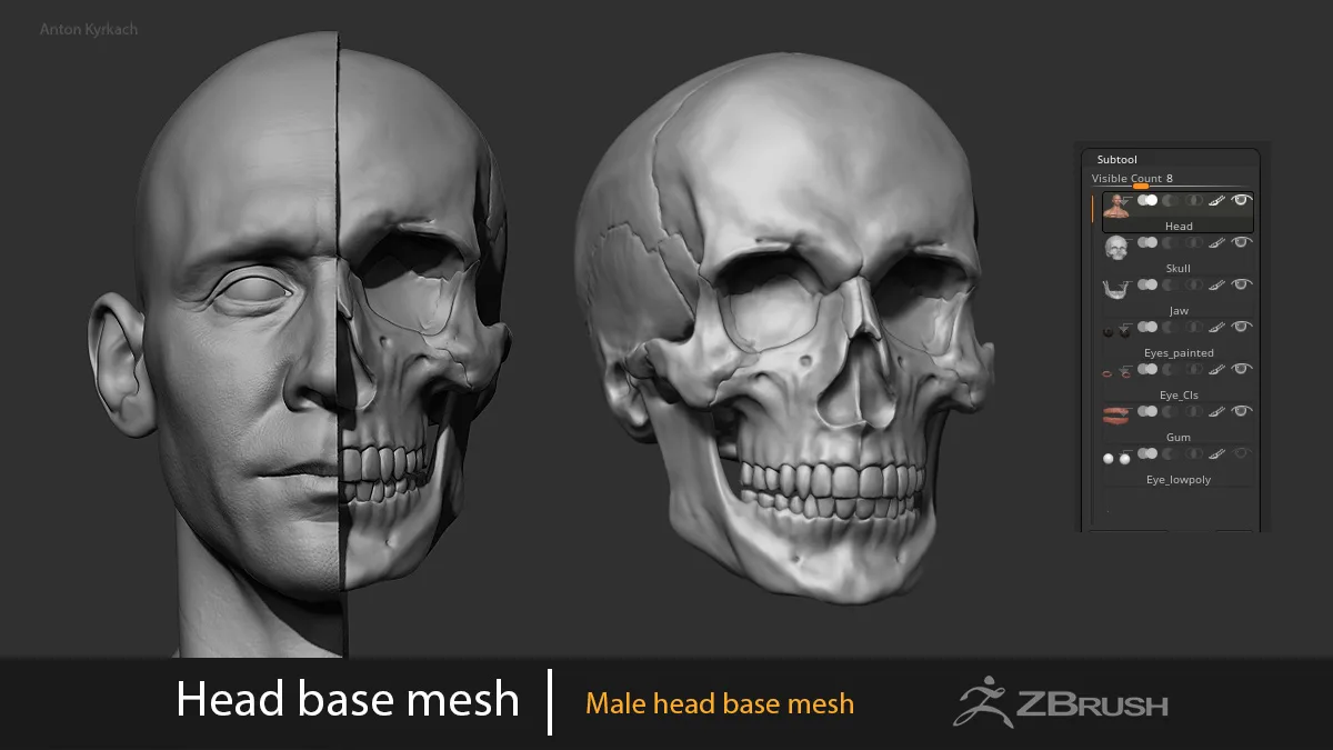 Male Head Basemesh