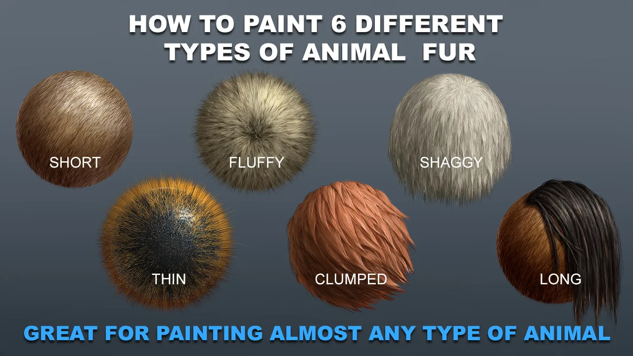 How to Paint Animal Fur