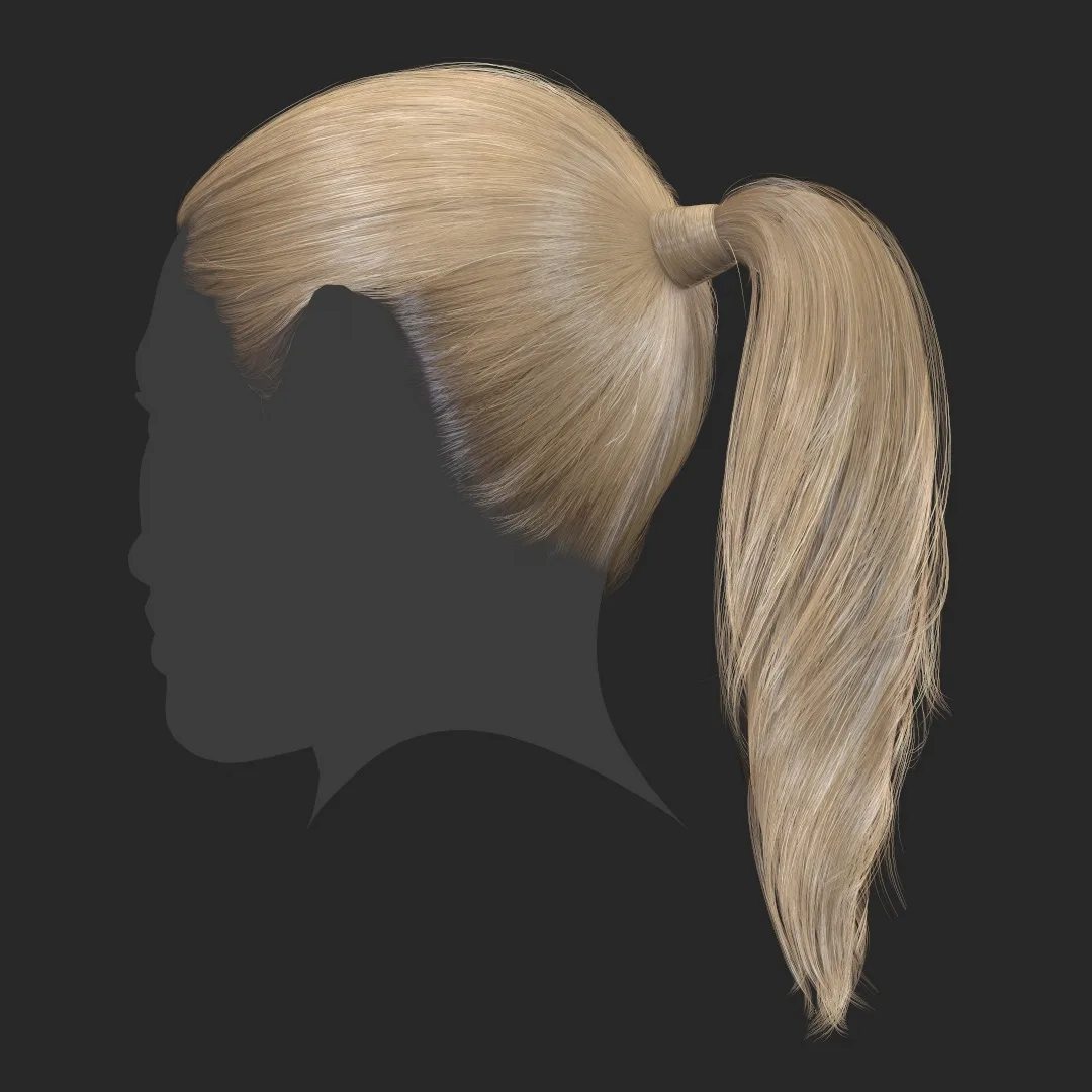 Hair - Ponytail - Gen2