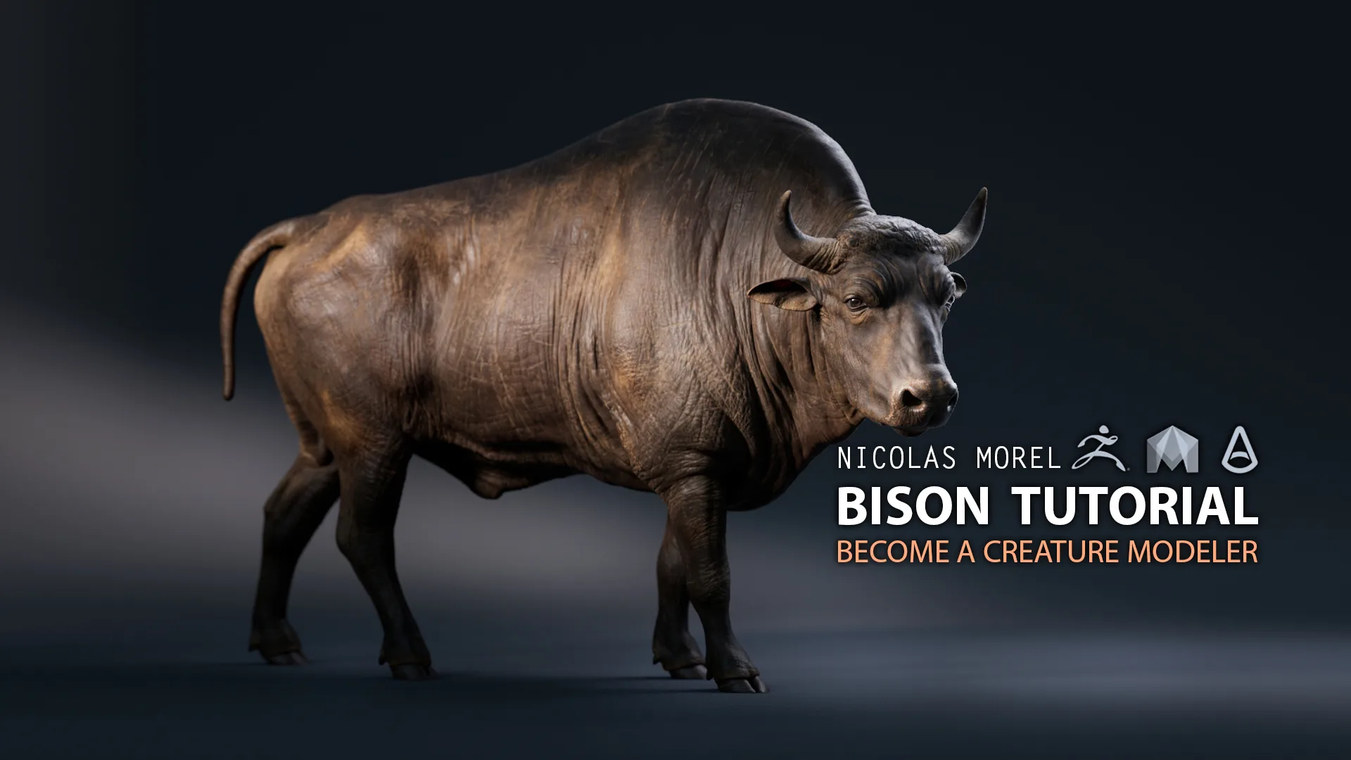 Bison Modeling Tutorial