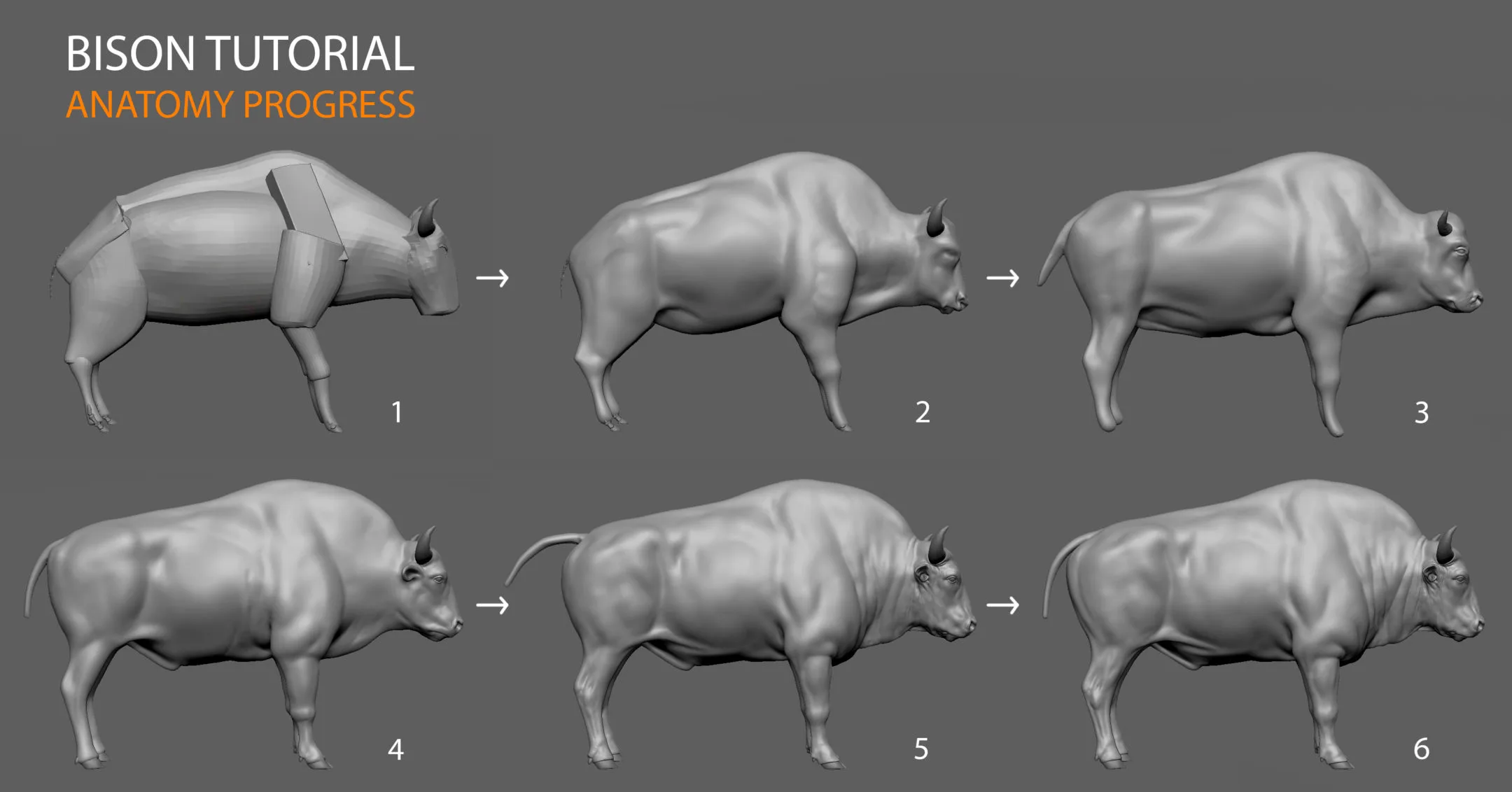 Bison Modeling Tutorial