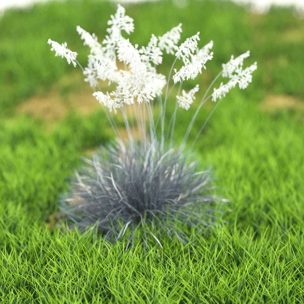 10 Flower Plants 61-70