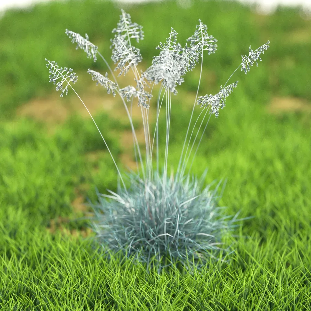 10 Flower Plants 61-70