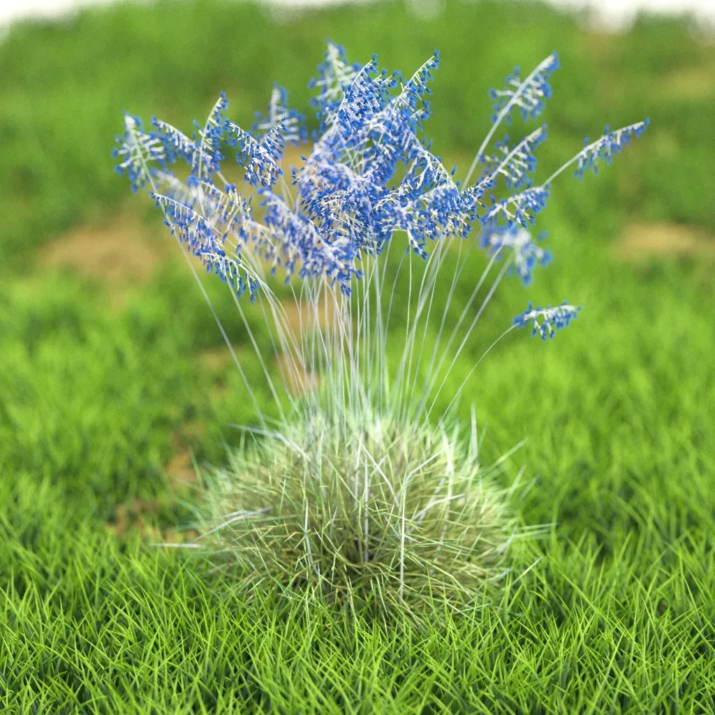 10 Flower Plants 61-70